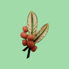 Vintage Rare Trifari L'Orient Coral Berries And Leaf Brooch (A4580)